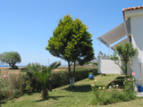 Blue Houses